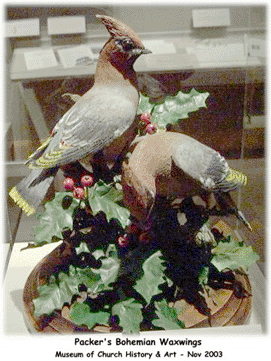 Boyd K Packer bohemian birds.
