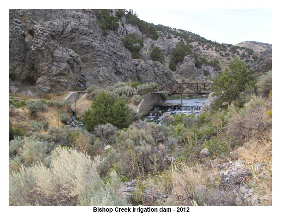 Bishop Creek irrigation dam 2012.