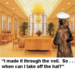 Mormon LDS bear in temple with cap.