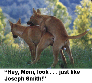 Mormon dogs mate like Joseph Smith.