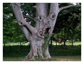 creepy tree-don-bagley.
