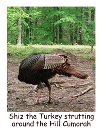 Shiz the headless turkey in the Book of Mormon.