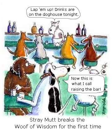 Stray Mutt raising the bar.