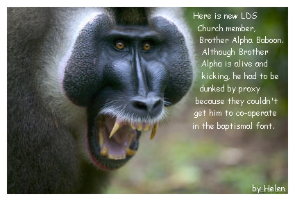 Brother Alpha Male baptized for the dead.