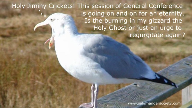 Mormon cricket bored with General Conference.