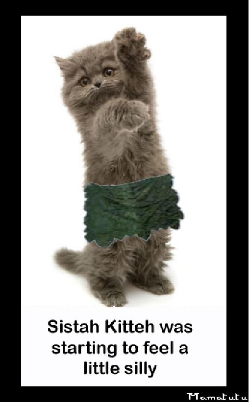 Sistah Kitteh Mormon Temple Apron.