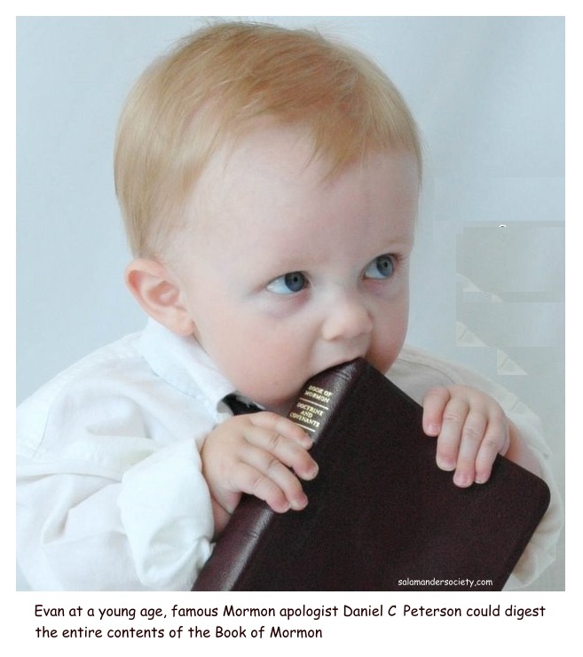 Daniel C Peterson BYU digesting Book of Mormon.