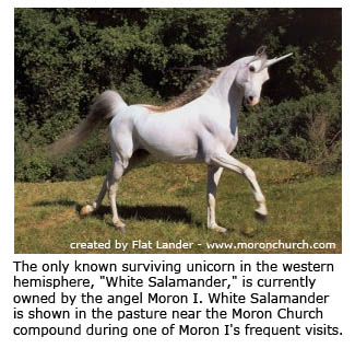 The White Salamander Unicorn.