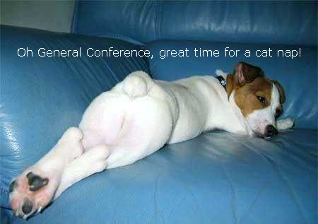 General Conference Dog.